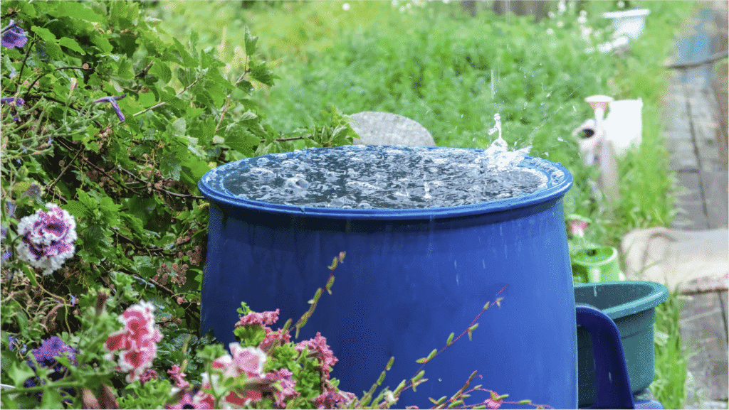 Capture and reuse rainwater with a garden barrel. See how rain barrels help conserve water and support healthy, vibrant gardens during wet weather.