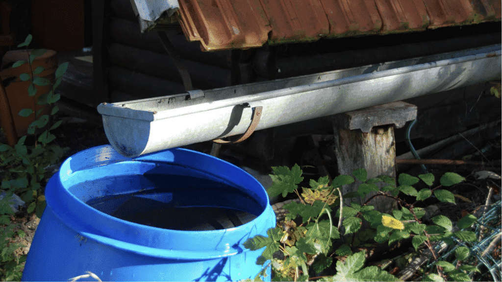 Discover sustainable water conservation with a rainwater barrel collecting runoff from a roof gutter. Perfect for eco-friendly gardening and reducing water waste.